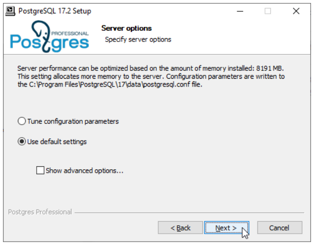 Windows 安装程序，可为 PostgreSQL 服务器选择调优后的参数或默认设置。